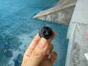怡顆莓Driscoll's 秘魯進(jìn)口藍(lán)莓Jumbo超大果20mm+ 6盒125g/盒 水果禮盒 曬單實(shí)拍圖
