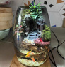 新年喬遷禮盒苔蘚微景觀(guān)生態(tài)瓶創(chuàng  )意面造景綠植盆栽節日生日禮物 生命之樹(shù)微景觀(guān)（煙灰款）植物燈 曬單實(shí)拍圖