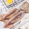 美加佳 鮮凍整只大魷魚(yú)（2-3只） 凈重550g 整條魷魚(yú) 深海捕撈 海鮮水產(chǎn) 曬單實(shí)拍圖