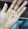 金小貅黃金轉運珠足金999小金珠重版加厚散珠光面金珠黃金古法珠手串DIY 0.9g,7mm古法珠重版1顆 曬單實(shí)拍圖