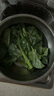 綠食者新鮮海鮮菇約250g 食用菌菇煲湯涮菜蔬菜炒菜食材 5件包郵 250g 曬單實(shí)拍圖