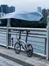 大行（DAHON）折疊自行車20英寸11速鋁合金超輕車架城市運(yùn)動(dòng)競(jìng)技自行車PKA015 銀色【V剎+馬甲線】 曬單實(shí)拍圖