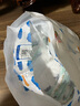 碧芭寶貝盛夏光年拉拉褲XXXL26片(≥18kg)學步褲 夏季超薄 透氣不悶熱 曬單實拍圖