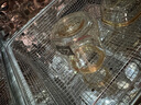 貝親（Pigeon）新生兒 防脹氣寬口徑PPSU奶瓶160ml SS號奶嘴 0個月+AA261  曬單實拍圖