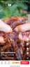 妙滋味 醬板鴨 湖南特產(chǎn)香辣板鴨肉零食整只鹵味熟食小吃送禮 微辣300g 曬單實(shí)拍圖