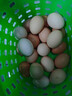 蛋百惠農家散養鮮雞蛋新鮮現撿現發(fā)谷物喂養正宗蟲(chóng)草雞蛋單枚40±5g 20枚 曬單實(shí)拍圖