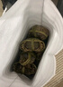 【活蟹】陽(yáng)澄聯(lián)合鮮活大閘蟹現貨公4.0-4.3兩 母3.0-3.3兩 4對8只螃蟹海鮮禮盒 曬單實(shí)拍圖