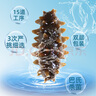 曉芹 大連即食海參 3斤 21-27只 遼刺參 海鮮水產(chǎn) 禮盒裝 中秋禮盒 曬單實(shí)拍圖