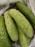 東北正宗旱黃瓜帶刺脆皮小青瓜新鮮蔬菜水果綠黃瓜單根≥90g 2斤 曬單實(shí)拍圖