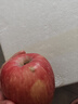 正宗煙臺(tái)蘋果棲霞紅富士脆甜新鮮水果整箱生鮮蘋果水果 凈重4.5斤75mm 曬單實(shí)拍圖