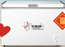 北極熊（BEIJIXIONG）小冰柜家用小型冷凍保鮮迷你冷藏商用臥式冷柜儲母乳柜節(jié)能省電 單門單溫228升【一級能效 全國聯(lián)保】 228L 曬單實拍圖