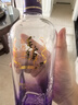 勁牌 毛鋪草本苦蕎酒 紫蕎 42度 500ml*6瓶 整箱裝 曬單實(shí)拍圖