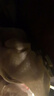 浪莎短絲襪女薄款春秋季中筒短襪5A抗菌防勾耐磨膚色透明肉色襪子10雙 曬單實(shí)拍圖