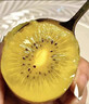 果躍霖黃心獼猴桃四川蒲江黃金奇異果當季新鮮甜孕婦水果 24枚 單果70-90g 曬單實(shí)拍圖