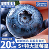 山姆伯伯 藍莓巨無(wú)霸【順豐多地次日達】花香新鮮水果禮盒中秋送禮 【金標級·巨無(wú)霸 | 臻品】單果16-20mm 8盒裝【蕞劃算-全網(wǎng)比價(jià)】?jì)?00g 曬單實(shí)拍圖