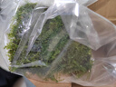 水草套餐三角莫斯淡水松茸火焰垂淚莫斯前景草沉木魚(yú)缸水族箱造景 大三角莫斯7.5cmx7.5cm一片 曬單實(shí)拍圖