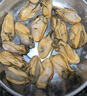 彩雙海正宗金蠔干煲湯生蠔干新鮮淡曬湛江臺山生蠔干不抽油牡蠣干蠔鼓干 精選金蠔干250g【約25只】 曬單實(shí)拍圖