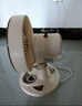 駱駝電風(fēng)扇家用電扇臺(tái)式多功能小型風(fēng)扇學(xué)生宿舍桌面風(fēng)扇可搖頭靜音辦公室桌面臺(tái)扇 米色臺(tái)扇【搖頭/2檔位】 標(biāo)配【1.3米電源線】 曬單實(shí)拍圖