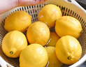京鮮生 安岳黃檸檬 8粒 單果95-120g 生鮮水果 曬單實(shí)拍圖
