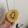 北森南嶼四川浦江黃心獼猴桃奇異果水果新鮮 當季現摘 時(shí)令水果催熟食用 黃心獼猴桃小果6枚【約50-70g/枚】 曬單實(shí)拍圖