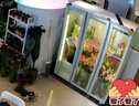 揚子商用鮮花保鮮柜玻璃展示柜商場(chǎng)超市冷藏柜冰箱花店花卉冷柜玻璃透明冰柜專(zhuān)用鮮花柜延長(cháng)花期 三門(mén)白1500*600*1830【一級能效|東貝】 【豪華款鮮花柜】無(wú)邊框鋁合金【變頻節能+鍍膜防霧】 曬單實(shí)拍圖