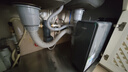 海爾（Haier）鮮活水promax 889凈水器家用RO反滲透瞬時(shí)1400G大流速直飲機(jī)8年進(jìn)口膜母嬰直飲國(guó)家補(bǔ)貼 曬單實(shí)拍圖