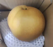 京鮮生安徽碭山新玉冰糖梨 3斤裝 單果250g+ 生鮮水果源頭直發(fā) 曬單實(shí)拍圖