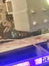 西部數(shù)據(jù)（WD）SSD固態(tài)硬盤(pán) M.2接口 SN5000 PCIe4.0臺(tái)式機(jī)筆記本電腦硬盤(pán) SN5000 1TB 曬單實(shí)拍圖