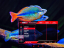 華碩ROG 超神X OLED 26.5英寸OLED顯示器4K 240Hz顯示器電競G-sync Type-C杜比視界HDR400 DP2.1 曬單實(shí)拍圖