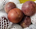 京地達新疆恐龍蛋李子凈重4斤特大果80g+新鮮水果京東自營(yíng) 源頭直發(fā)包郵 曬單實(shí)拍圖