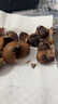 【內(nèi)皮易剝】云南新鮮板栗25年生栗子糖炒栗子水果蔬菜零食中果 新鮮水果板栗 1斤 曬單實(shí)拍圖