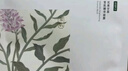 谷雨邱鼎杰同款新一代奶皮面膜5片/盒 美白淡斑提亮熬夜修護補水禮物 曬單實(shí)拍圖
