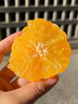 閩農語(yǔ)果四川愛(ài)媛果凍橙子【多地次日達】手剝柑橘桔子新鮮水果橙子 凈重4.5斤 單果65mm+ 源頭直采 曬單實(shí)拍圖
