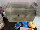 米家（MIJIA）小米米家智能生態(tài)魚(yú)缸+畫(huà)法幾何配套加熱棒 曬單實(shí)拍圖
