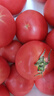 京鮮生沙瓤粉西紅柿 凈重3斤 單果100g+果菜兩吃 源頭直發(fā) 【搜生鮮館】 曬單實(shí)拍圖