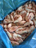 美加佳熟凍北極甜蝦腹籽凈重3斤 90/120規格  海鮮水產(chǎn) 熟凍甜蝦 曬單實(shí)拍圖