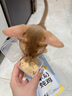 多特思貓主食餐包成幼貓濕糧非零食罐頭全價羊奶燉雞50g*6包貓咪湯包飯 曬單實拍圖
