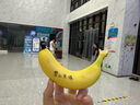 露茉【國(guó)家補(bǔ)貼】半自動(dòng)研磨一體機(jī)咖啡機(jī)SOLAR 意式咖啡機(jī) 家用 磨豆機(jī)奶泡機(jī)研磨一體 CMA01 曬單實(shí)拍圖