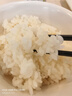 越前日本越光品種大米 4.5kg*1包 壽司米飯團米 東北東港產(chǎn)區 10斤 曬單實(shí)拍圖