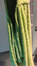 taoqibaby寶寶浴巾兒童帶帽斗篷浴袍新生兒超軟吸水浴巾包巾速干80*120cm 曬單實(shí)拍圖