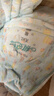 bebebus裝仔pro成長(cháng)褲試用裝XL4片(12-17kg)透氣超薄 曬單實(shí)拍圖