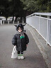 G.DUCKKIDS小黃鴨童裝兒童羽絨服男童中長款加厚男孩外套冬季寶寶小惡魔衣服 黃色 90 建議1~2歲【 80-90cm】 曬單實拍圖