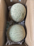 京鮮生蜜蜂授粉牛三蜜瓜網(wǎng)紋瓜單果1.5斤起凈重4.5-5斤 2-3粒裝源頭直發(fā) 曬單實(shí)拍圖