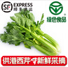 新鮮西芹【供港蔬菜-綠色食品】京配買菜 健康輕食榨汁水果芹菜 3.5斤水果西芹 家庭暢享300g*6份 曬單實拍圖