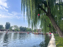 禾斯語(yǔ)韓版海洋系頭繩彩色可愛(ài)發(fā)圈高彈力耐用加粗皮筋無(wú)縫銜接發(fā)繩發(fā)飾 咖色系10條【海鮮標】 曬單實(shí)拍圖