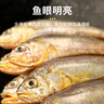 冰鮮部族小黃魚(yú) 新鮮冷凍海鮮深海黃花魚(yú) 活魚(yú)速凍燒烤食材 【新鮮海捕】深海小黃魚(yú)4斤 曬單實(shí)拍圖