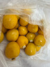 東北姑娘果新鮮當季水果黃菇娘燈籠果酸甜可口甜菇娘特產(chǎn)京東包郵 【帶箱1斤】東北姑娘果 曬單實(shí)拍圖
