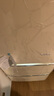 小吉（MINIJ）國家補貼20%402升雙變頻風(fēng)冷無霜客廳冰箱一級能效復(fù)古意式三開門冰箱干濕分儲變溫低噪BCD-JY402W Plus款 | 深冷鎖鮮 曬單實拍圖
