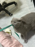寵幸豆腐貓砂細砂快速結團除臭可溶可沖廁所貓沙貓咪用品低塵 原味豆腐貓砂2.5kg*6 曬單實(shí)拍圖