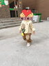 G.DUCKKIDS小黃鴨童裝男童套裝春秋2024新款兒童衣服男孩帥氣小熊襯衣兩件套 米色 90 建議1~2歲【 80-90cm】cm 曬單實(shí)拍圖